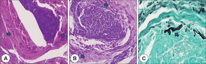 jcohns-30-2-253-g5