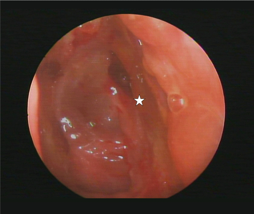 jcohns-31-2-243-g3