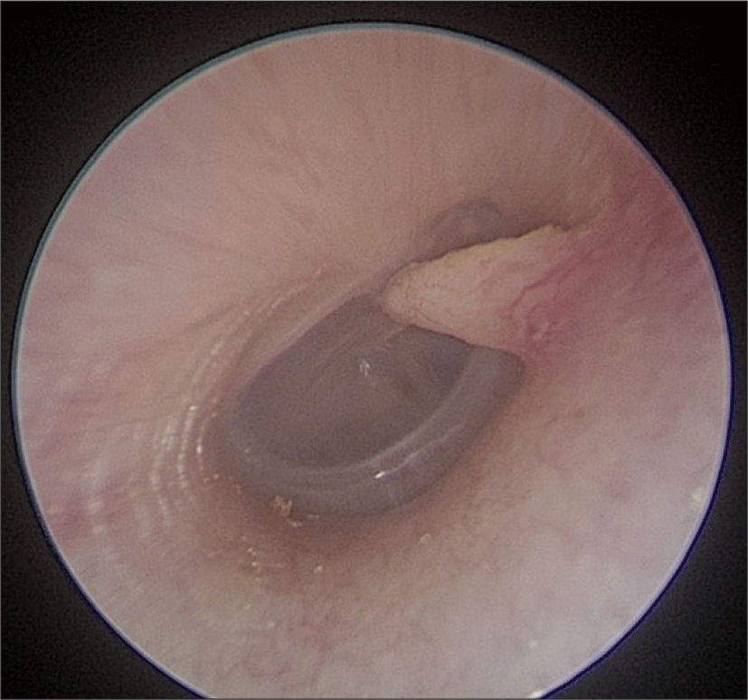 jcohns-32-2-132-g1