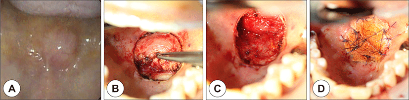 jcohns-32-2-158-g2