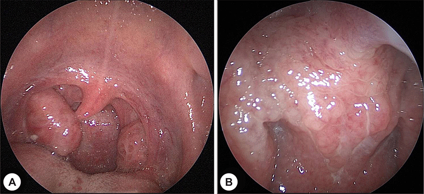 jcohns-32-3-291-g1