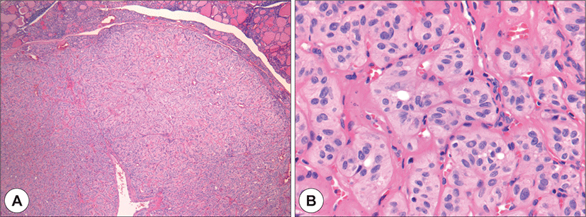 jcohns-32-3-308-g2