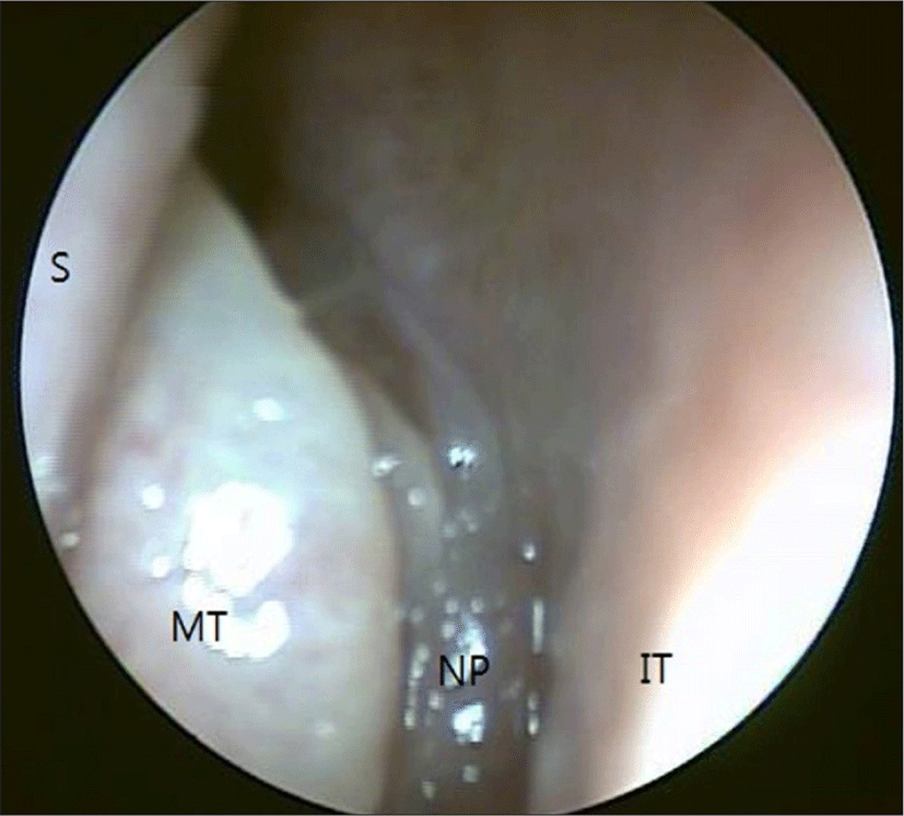 jcohns-33-1-3-g2