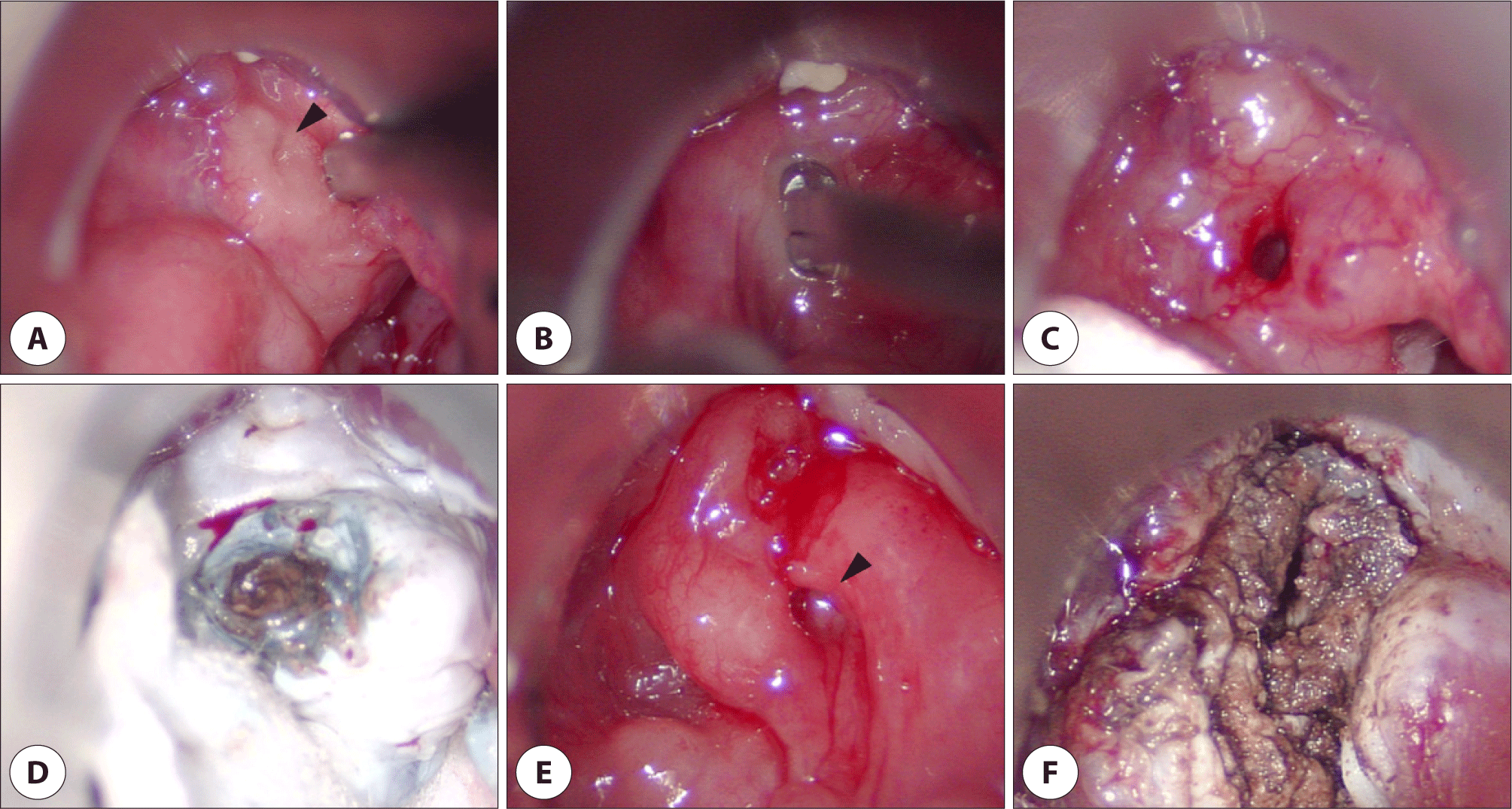 jcohns-33-3-159-g2