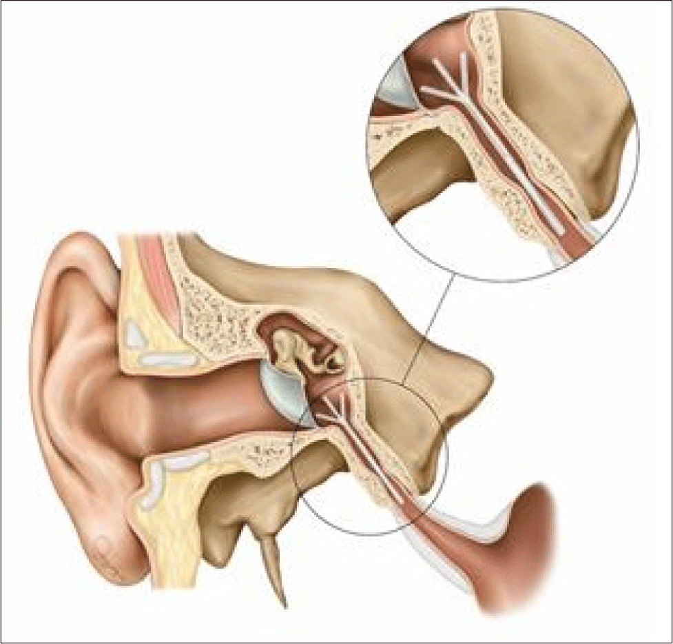 jcohns-33-4-184-g3