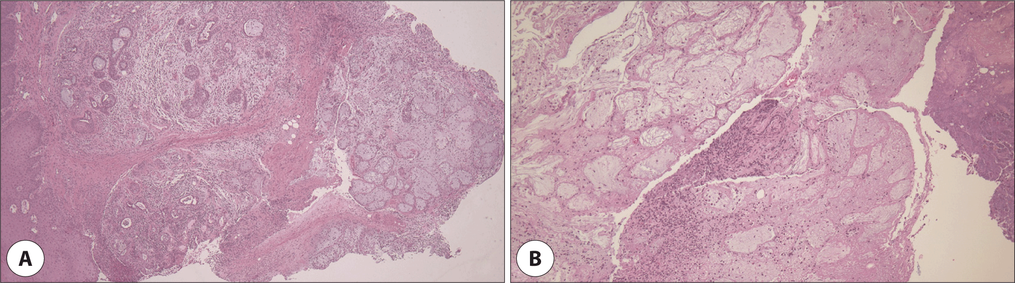 jcohns-33-4-236-g3