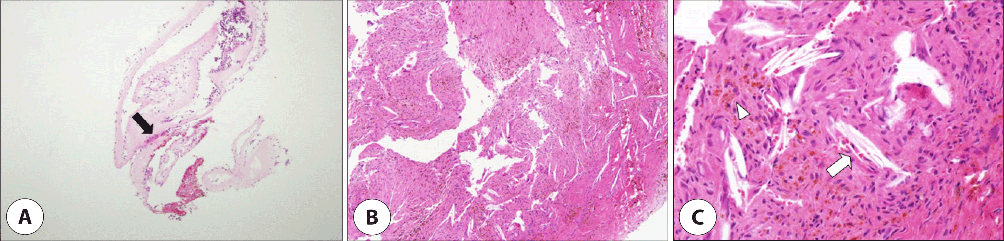 jcohns-34-1-3-g5