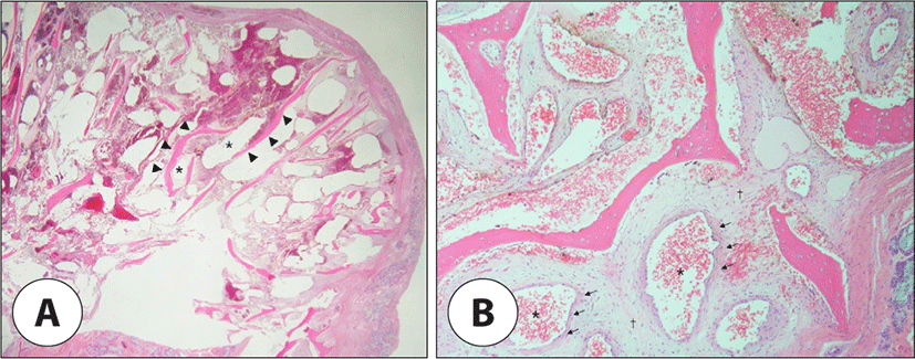 jcohns-34-2-57-g4