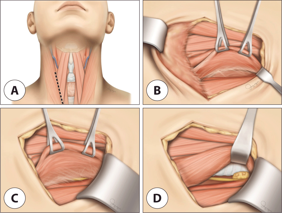 jcohns-34-4-159-g2