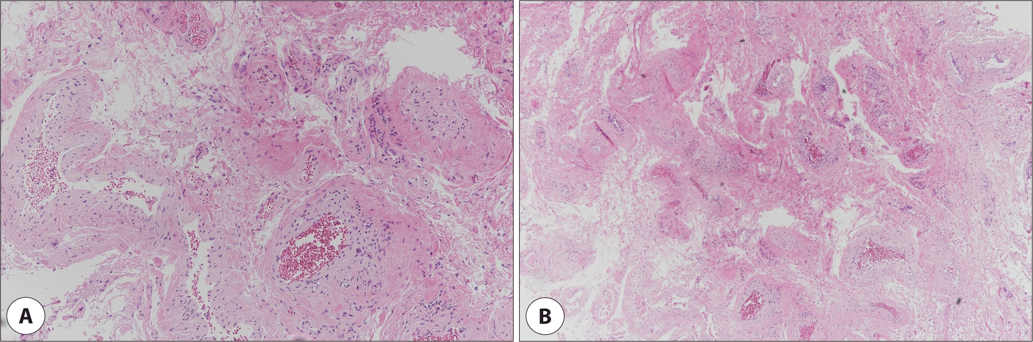 jcohns-34-4-187-g5