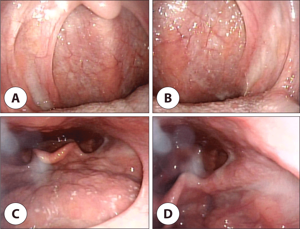 jcohns-34-4-215-g6